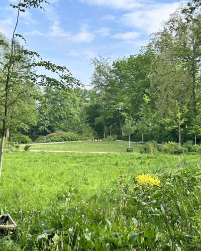 Hamburg-OL 2024 - Gel&auml;nde und Karten Jenischpark (Hamburg)