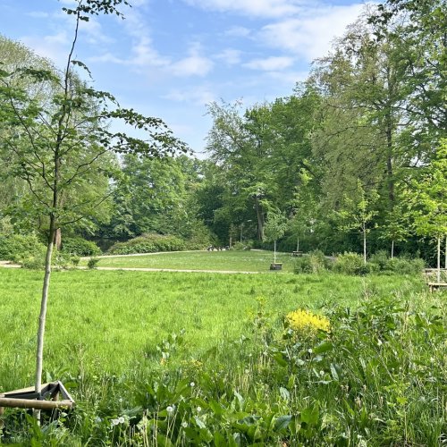 Hamburg-OL 2024 - Gel&auml;nde und Karten Jenischpark (Hamburg)